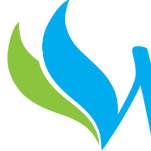Apex Wellness: Logo